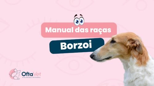 manual-das-racas-borzoi