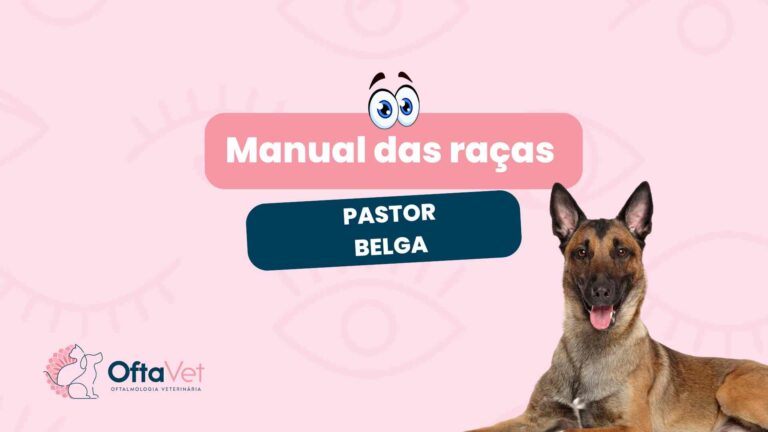 Pastor Belga