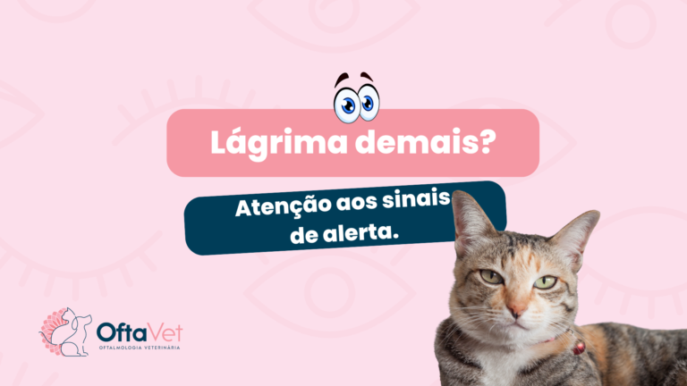 oftavet-lágrima demais, o que pode ser e sinais de alerta