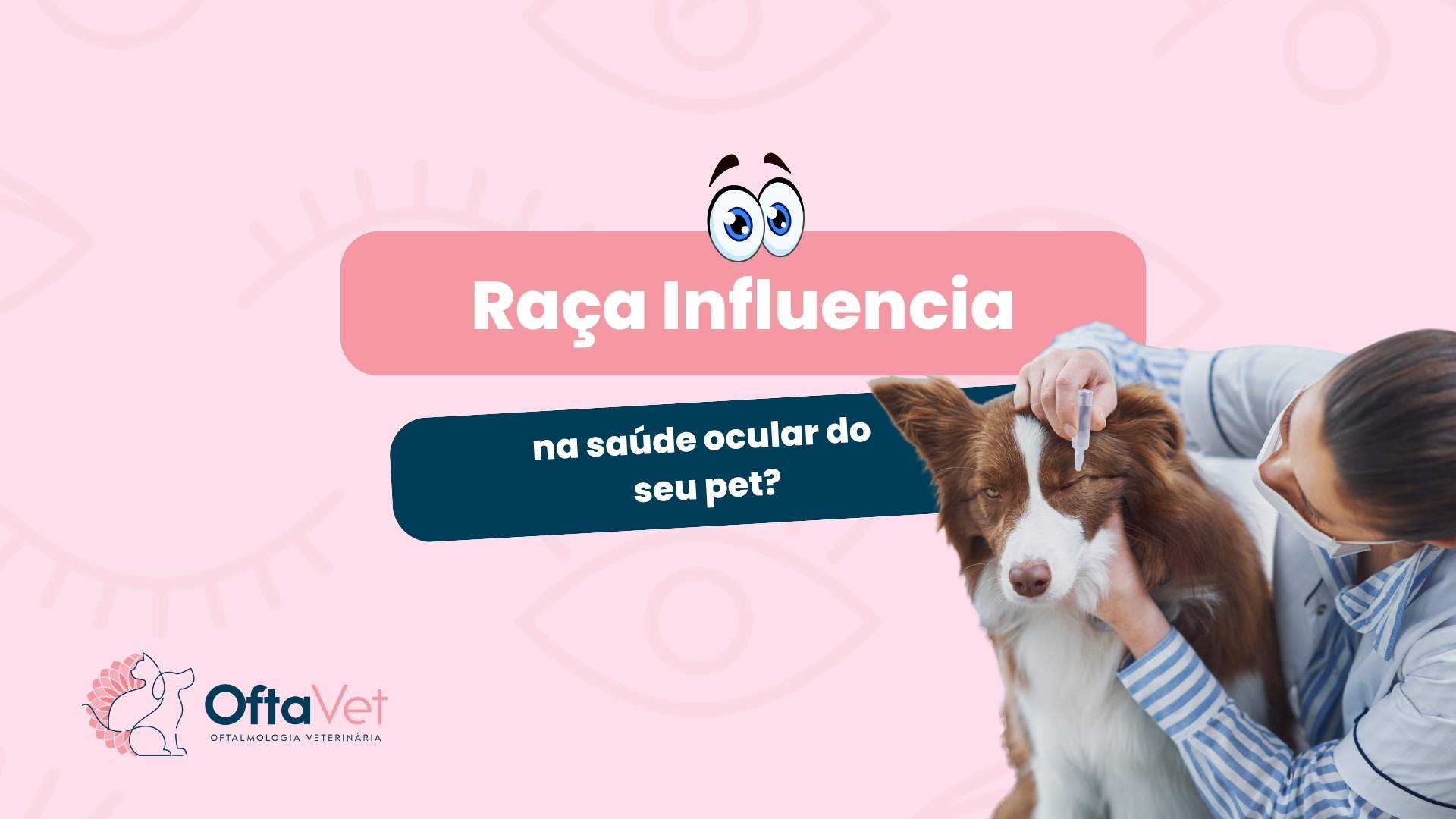 raça influencia na saúde ocular do pet? oftalmologia veterinaria oftavet valinhos