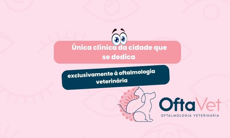 única clínica da cidade que se dedica explusivamente à oftalmologia veterinária valinhos